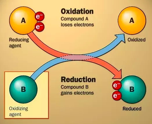 <p>donates </p><p>oxidized </p>