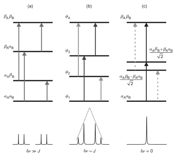 <p>A = weakly coupled = 2 doublets</p><p>B = strongly coupled = <strong>intermediate </strong>= ‘second-order’ appearance = roof effect</p><p>C = magnetically equivalent = 1 singlet</p>