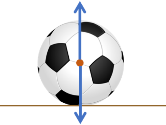 <p><strong>Label the forces <em>(the ball is not moving)</em></strong></p>