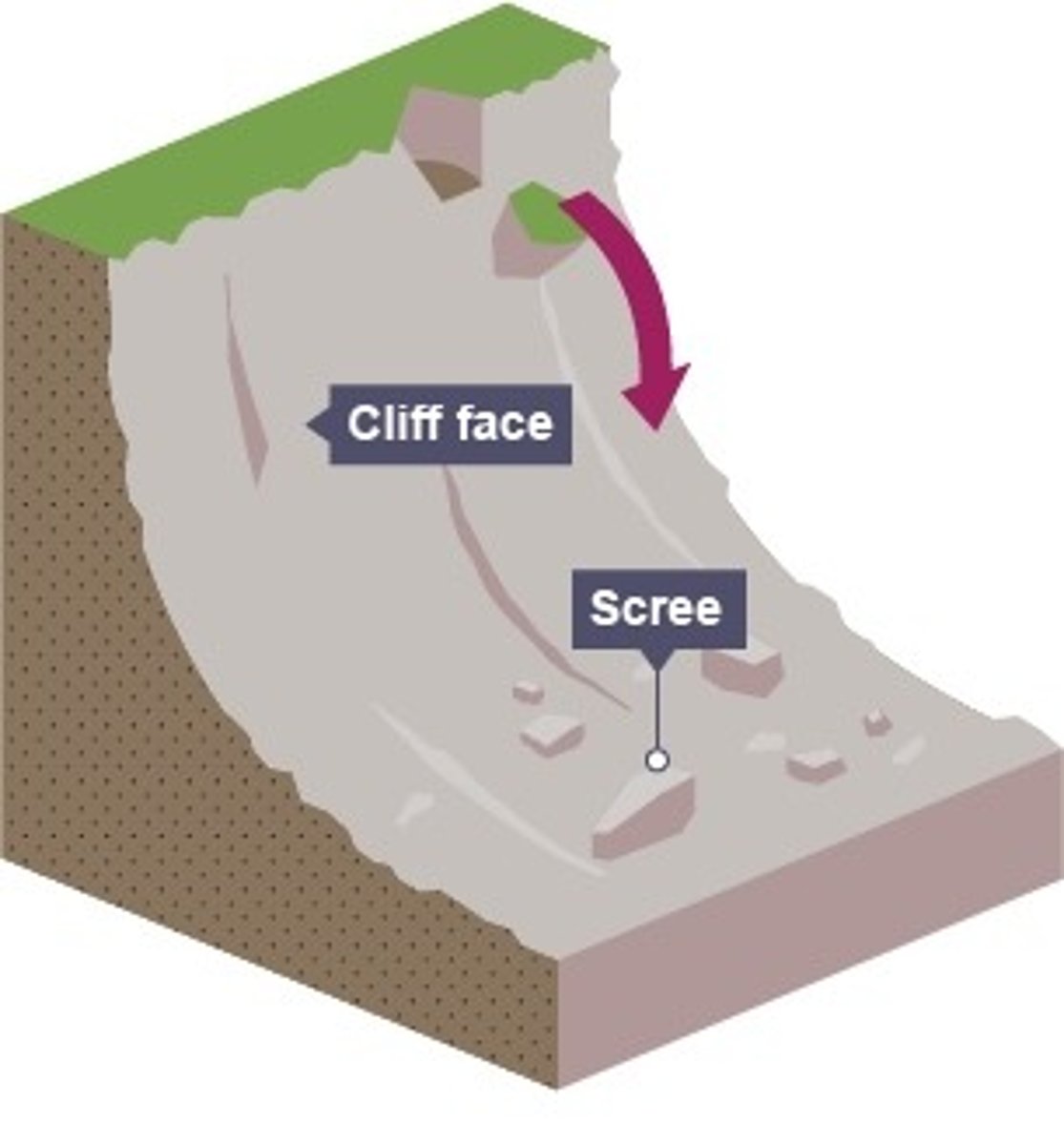 <p>bits of rock fall off the cliff face, usually due to freeze-thaw weathering</p>