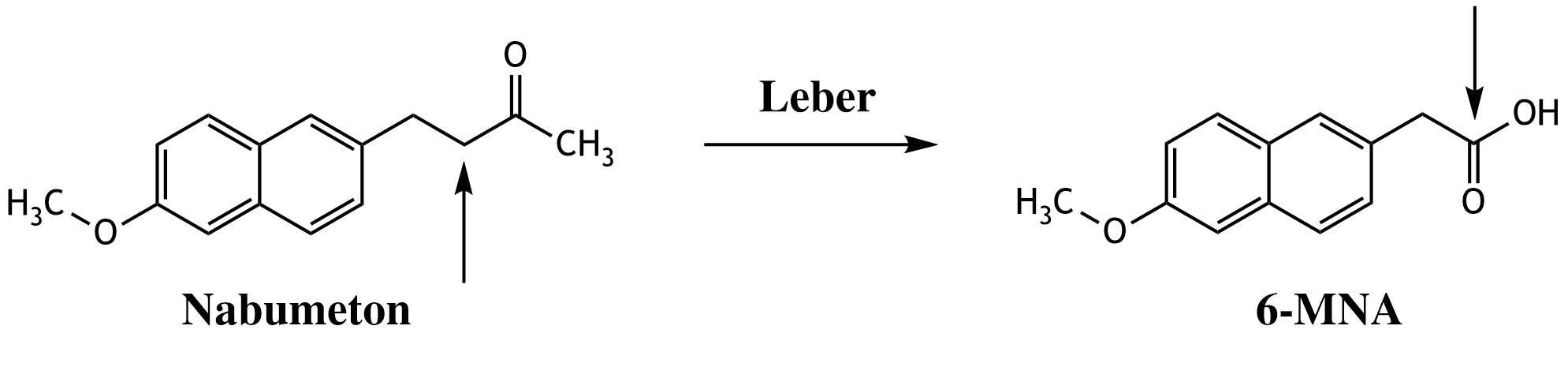 <p>32. The cyclooxygenase inhibitor (COX inhibitor) nabumetone is metabolized in the liver to the active compound 6-methoxy-2-naphthylacetic acid (6-MNA). </p><p>Which type of chemical reaction has occurred at the carbon atom indicated by the arrow during this metabolism?</p><p>A. Elimination</p><p>B. Hydrolysis</p><p>C. Oxidation</p><p>D. Reduction</p><p>E. Esterification</p>