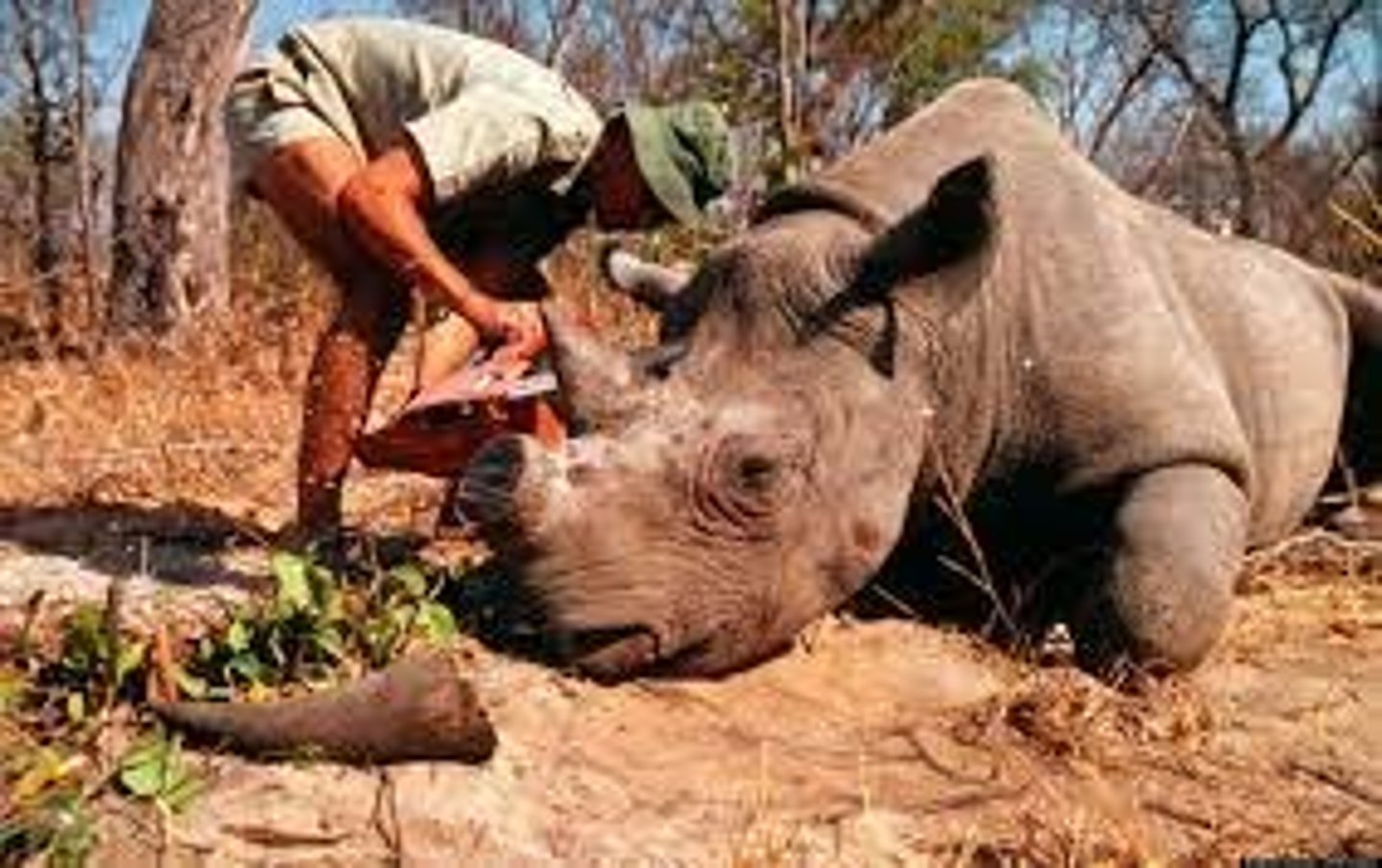 <p>bờ vực bị gì (They are on the brink of a major breakthrough.)</p>
