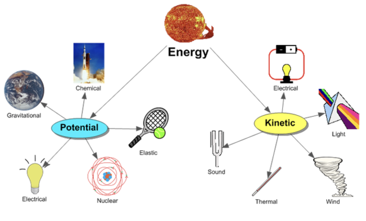 <ul><li><p>Thermal</p><ul><li><p>Heat</p></li></ul></li><li><p>Electrical</p><ul><li><p>Flow of charged particles</p></li></ul></li><li><p>Nuclear </p><ul><li><p>Radioactive decay </p></li></ul></li><li><p>Light</p><ul><li><p>Waves of photons</p></li></ul></li><li><p>Sound</p><ul><li><p>Mechanical waves moving through air</p></li></ul></li><li><p>Chemical</p><ul><li><p>Potential energy stored in chemical bonds</p></li><li><p>Only type of energy organisms can use</p><ul><li><p>Glucose contains chemical potential energy stored in its covalent bonds</p></li></ul></li></ul></li></ul><p></p>