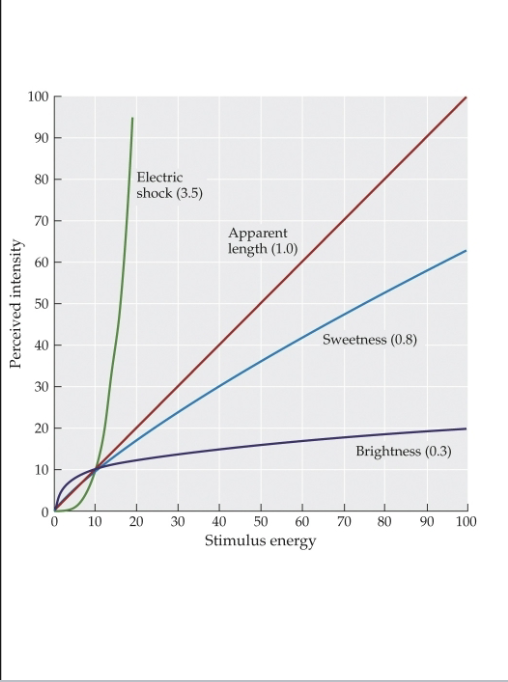 <p><u>Scaling Methods</u></p><p>participant assigns numerical values based on perceived magnitude:</p><p>• Example: “If the worst pain you can feel is a 10 out of 10, what value would you give your pain?”</p><p>• Example: “If this taste is a 5 out of 10 on sweetness, what sweetness value do you give this cookie?”</p><p>Magnitude estimates are well described by what law?</p>