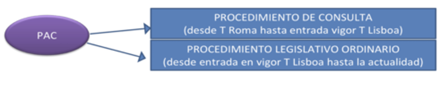 <p>- procedimiento de consulta (desde el Tratado de Roma hasta el Tratado de Lisboa)</p><p>- procedimiento legislativo ordinario (desde el Tratado de Lisboa en adelante)</p>