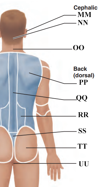 <p>Name letter NN</p>