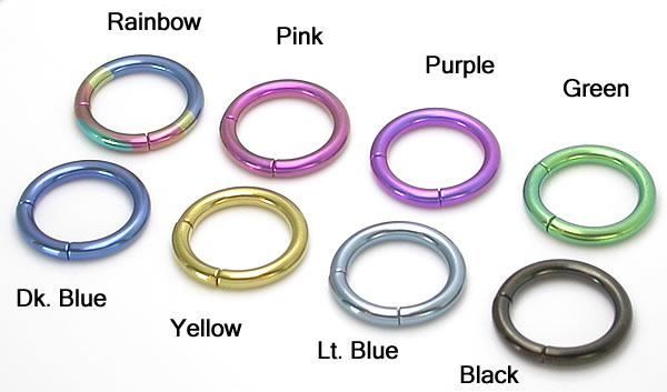 <p>Segmented Hinge Ring</p>
