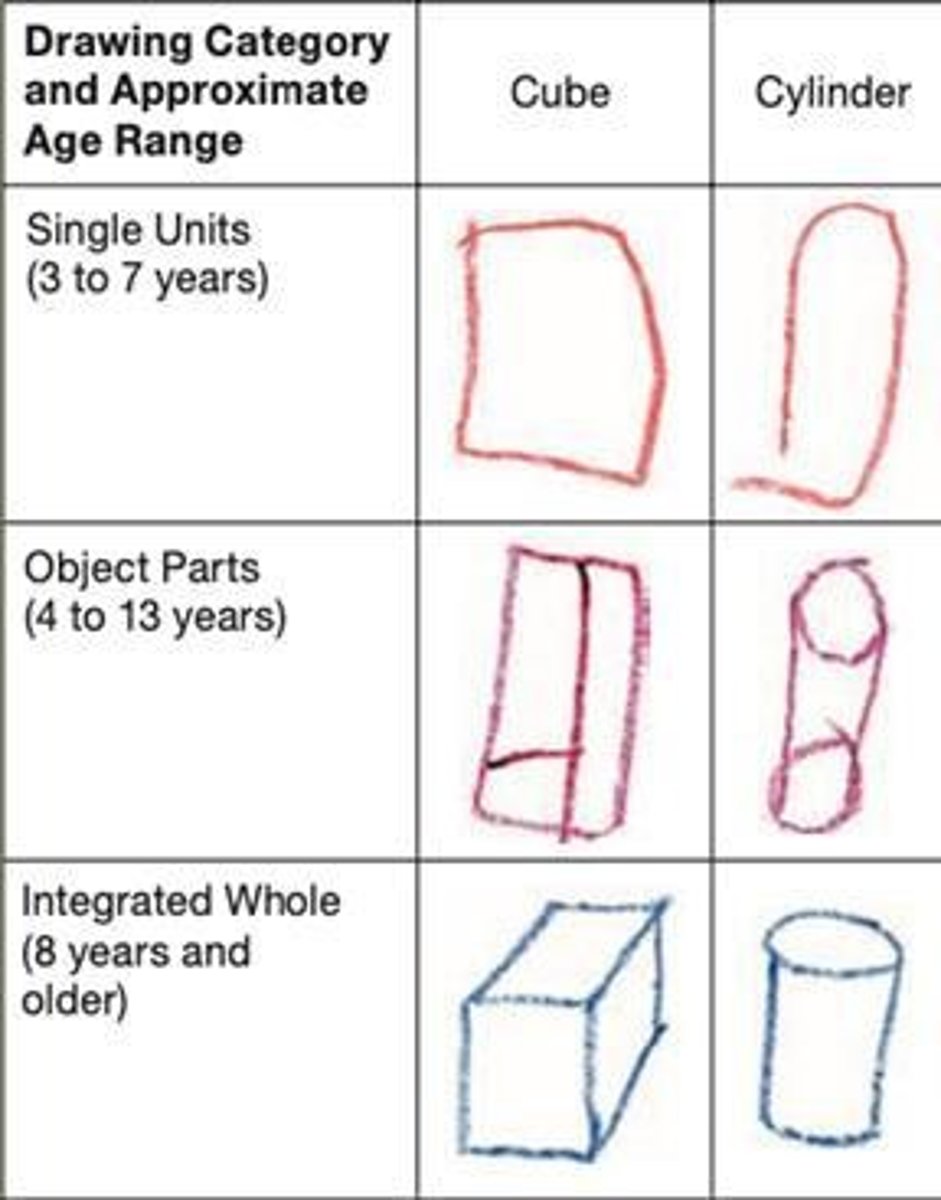 <p>Around age 3.</p>