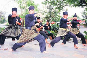 <p>A form of Martial art that similar to t’ai chi.</p>