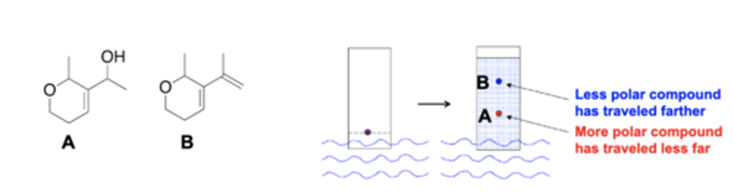 <p>B: less polar so it will travel farther; wont interact with silica gel</p>