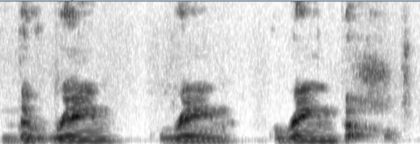 <p>Stuttering is a speech disorder characterized by repeating sounds, prolonging sounds and difficulty initiating sounds. Select the spectrogram that shows a repetition of "rain" in the phase "the rainbow"</p>