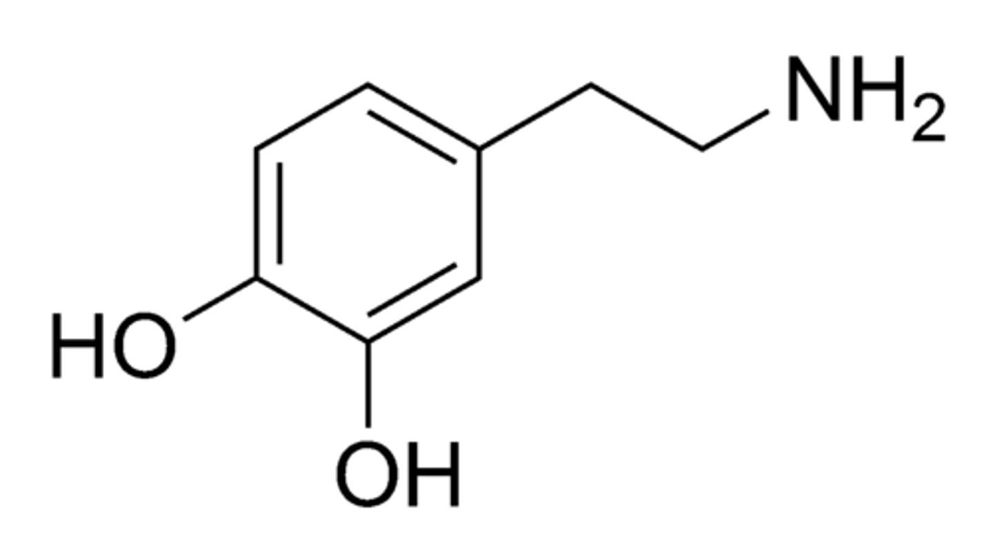 <p>An excitatory neurotransmitter of the CNS basal ganglia area of the brain.</p><p>The basal ganglia help with the initiation and termination of voluntary motor movements.</p><p>Levels of this neurotransmitter are low in patients with Parkinson's Disease.</p><p>It is involved in “emotional reward.”</p>