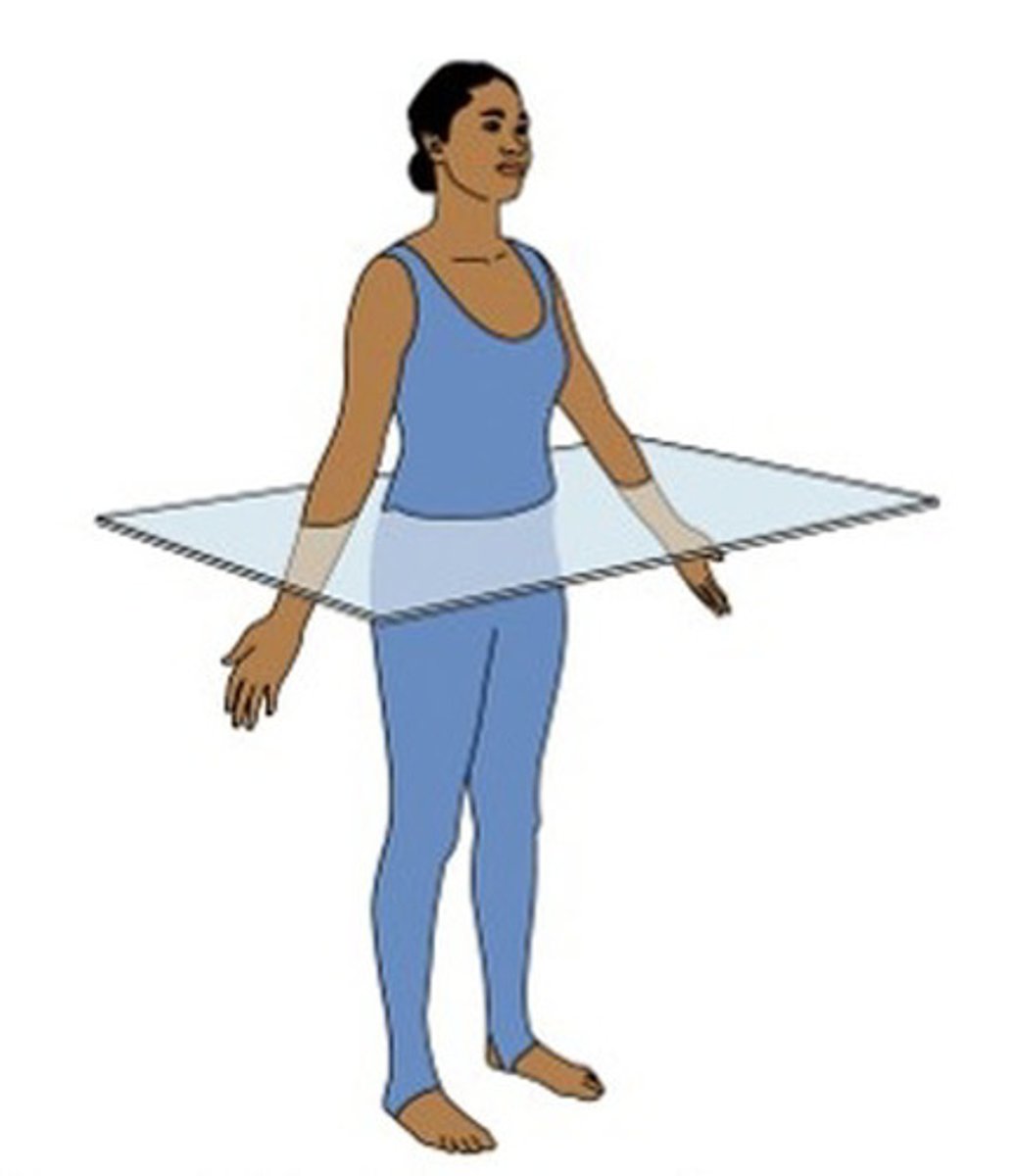 <p>any horizontally oriented plane that divides the head, neck, trunk, or limbs into superior (upper) and inferior (lower) portions. Sometimes this plane is referred to as a horizontal plane.</p>