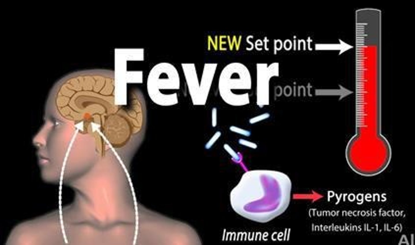 <p>An increase in body temperature that is part of the immune response to help fight infections.</p>