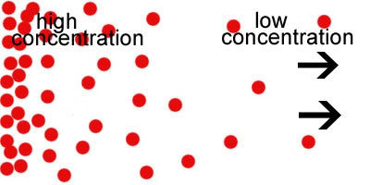 <p>how much solutes are in a give volume</p>