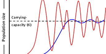 <p>what is the RED line in this graph?</p>