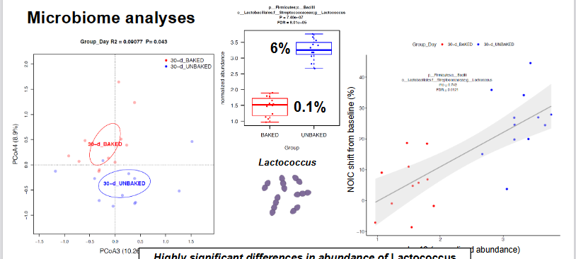 <ul><li><p>• Previous research has identified connections between early life diet consumption, neurocognition/memory, and the gut microbiome (Kendig et al., Appetite, 2022; Tsan et al., Nutr Neurosci, 2021; Noble et al., J Nutr, 2017; Noble et al., Trans Psych, 2021)</p></li><li><p><strong>Microbiome Analysis</strong></p><ul><li><p><strong>Highly significant differences in the abundance of Lactococcus </strong>that strongly correlated with NOIC performance</p></li><li><p><strong>more lactococcus in unbaked food population vs baked food population</strong></p></li></ul></li></ul><p></p>