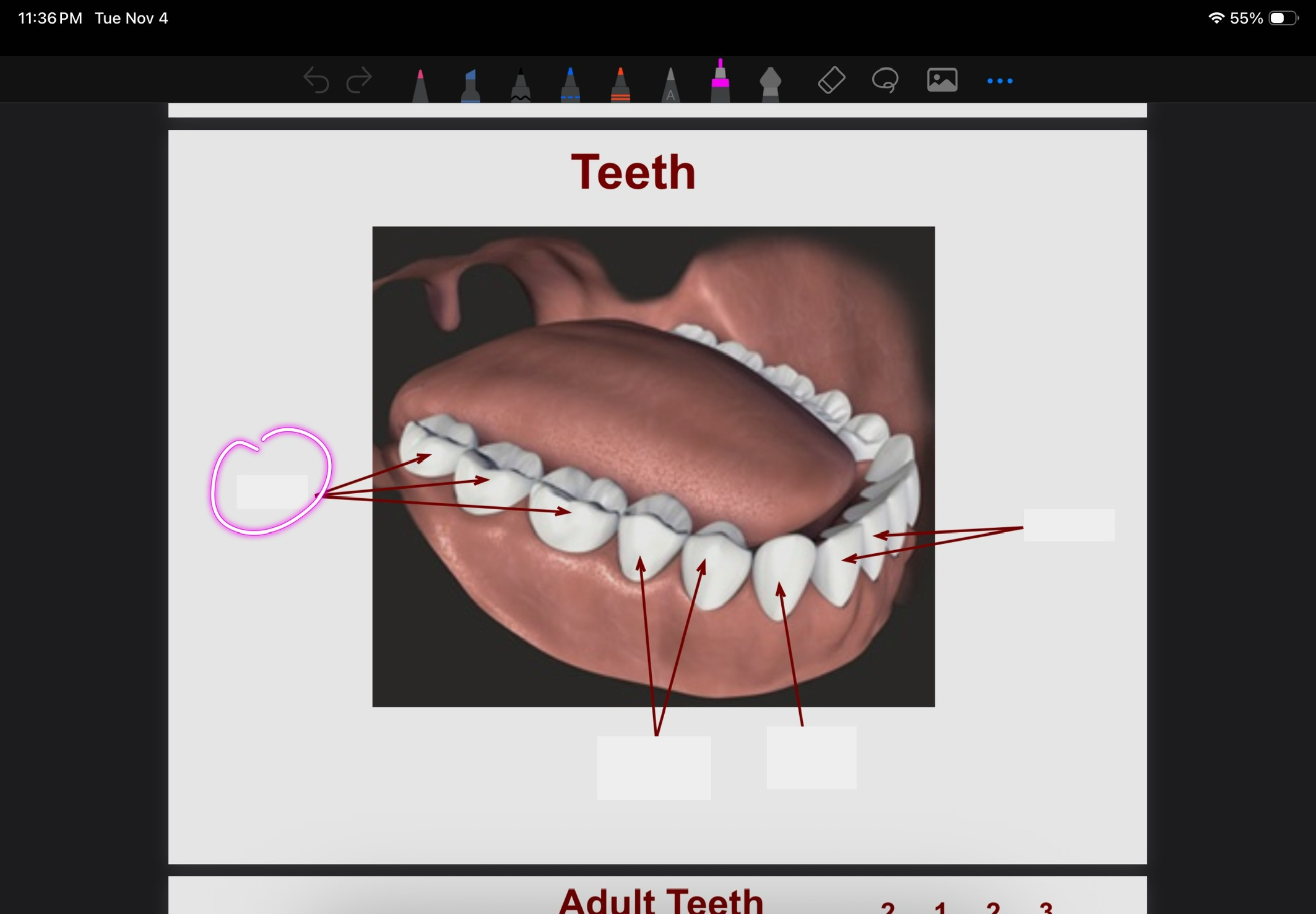 <p>What is this?</p>