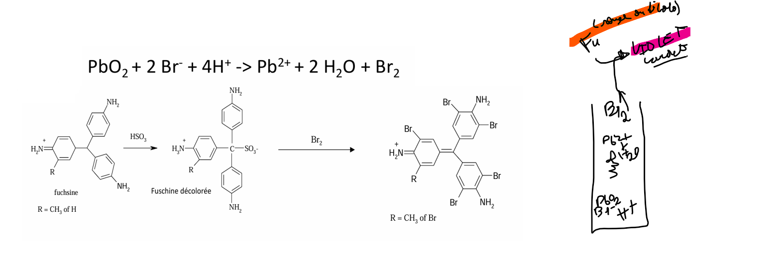 <p>bien sécher les bords du tube pour éviter que la fuchsine ne réagisse avec autre chose que le Br<sub>2</sub> in situ volatile formé</p>