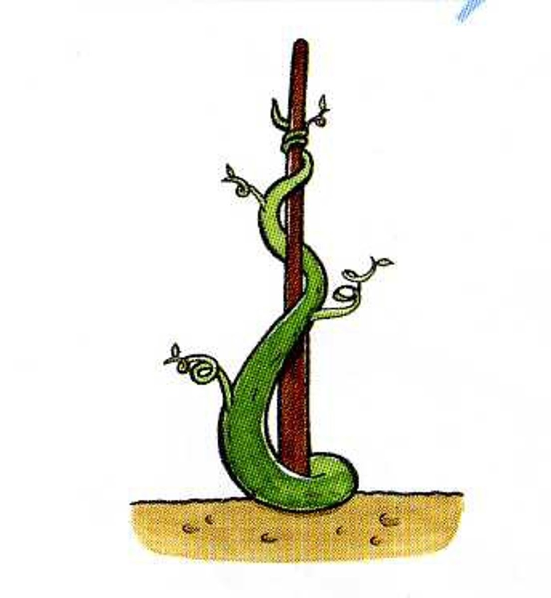 <p>twist or twine together./connect or link (two or more things) closely.</p>