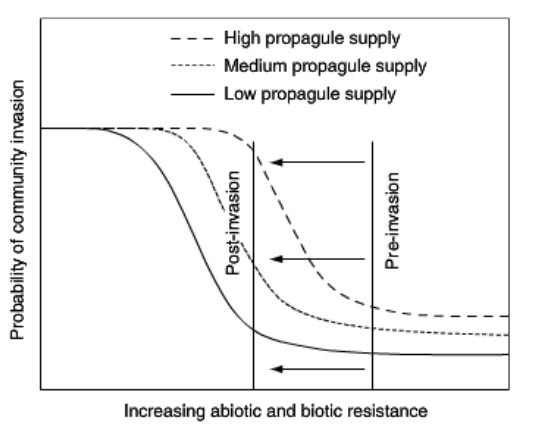 <p>Invasional meltdown is a bunch of exotics facilitating each other&apos;s invasion. This lowers the resistance of the native environment and lowers the threshold of invasion (the vertical line is further left).</p>