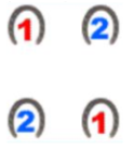 <ul><li><p>A rapid, diagonal two-beat gain in which the right front and left rear feet hit the ground in unison, and the left front and right rear feet hit the ground in unison</p></li><li><p>The horse travels straight without swaying sideways when trotting</p><ul><li><p><span style="font-size: 7pt; font-family: &quot;Times New Roman&quot;"> </span>1st beat = right fore / left hind</p></li><li><p>2nd beat = left fore / right hind</p></li></ul></li></ul><p></p>