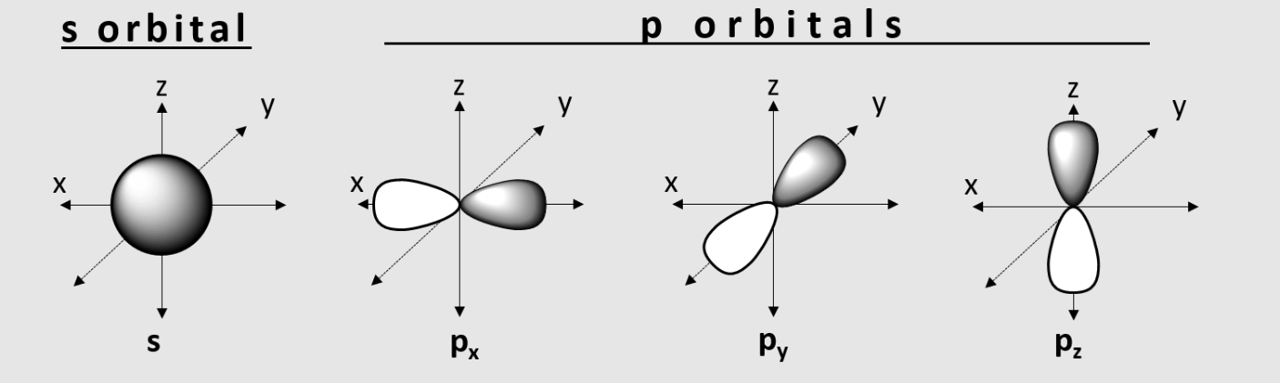 <p>s, Px, Py, Pz</p>
