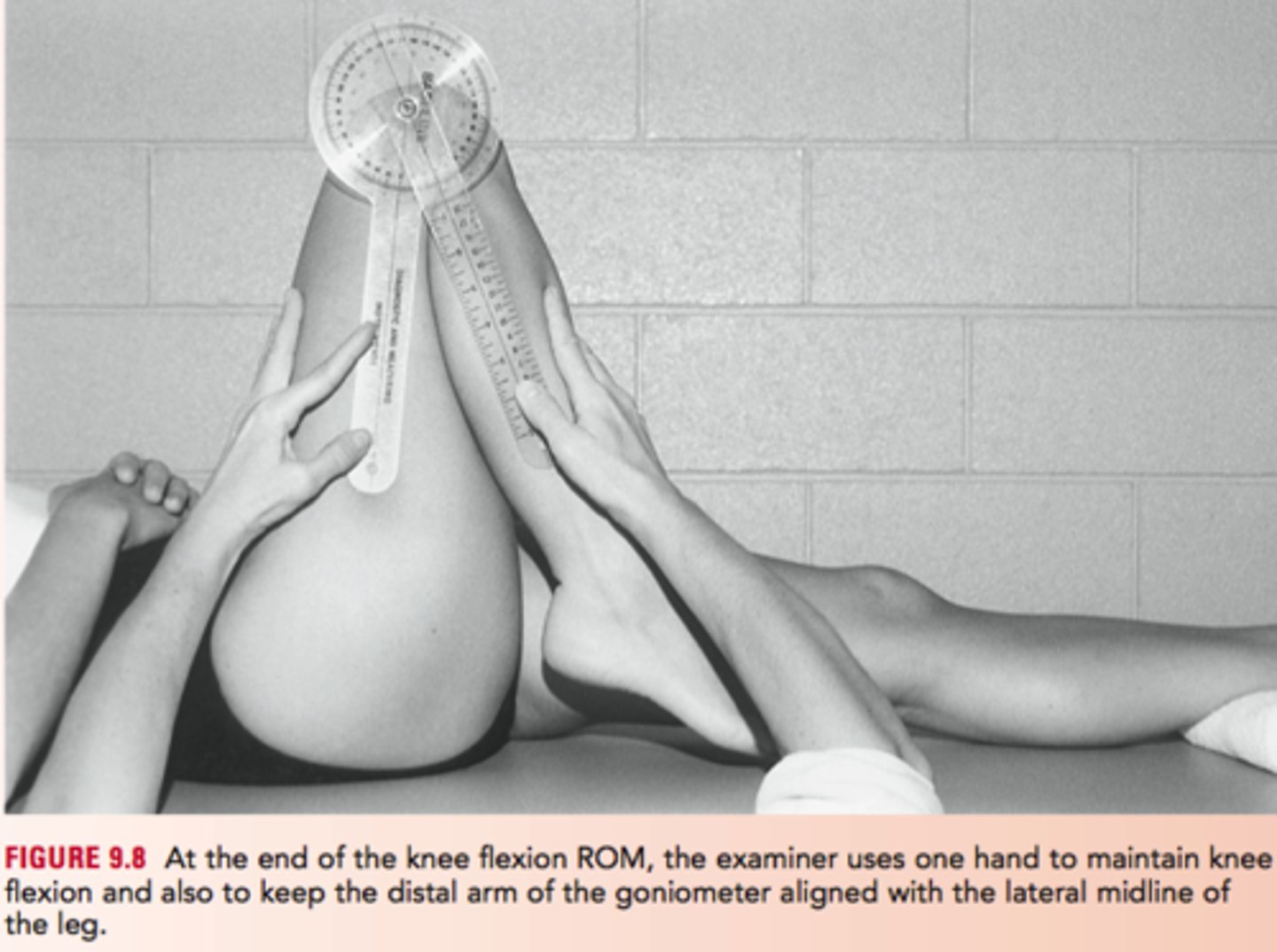 <p>fulcrum: lateral epicondyle femur<br>proximal: lateral midline femur<br>distal: lateral midline fibula<br><br>* supine<br>* normal = 135</p>