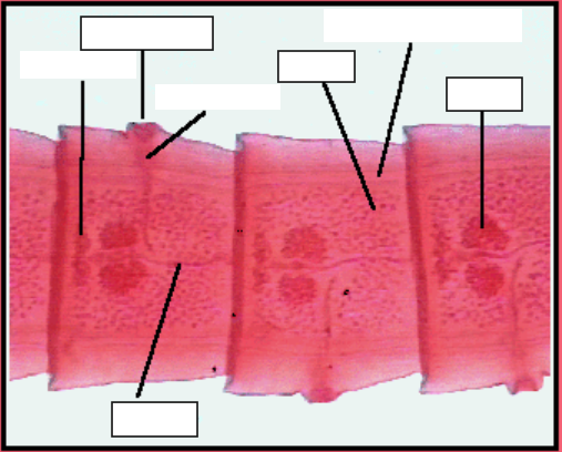 <p>Label and Name</p>