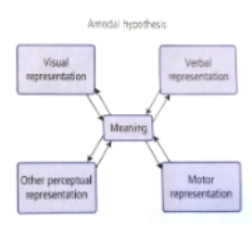 <p>there is an intermediate abstract system that holds the meaning, which is then converted to modalities (perceptual, motor) and back to abstract</p>