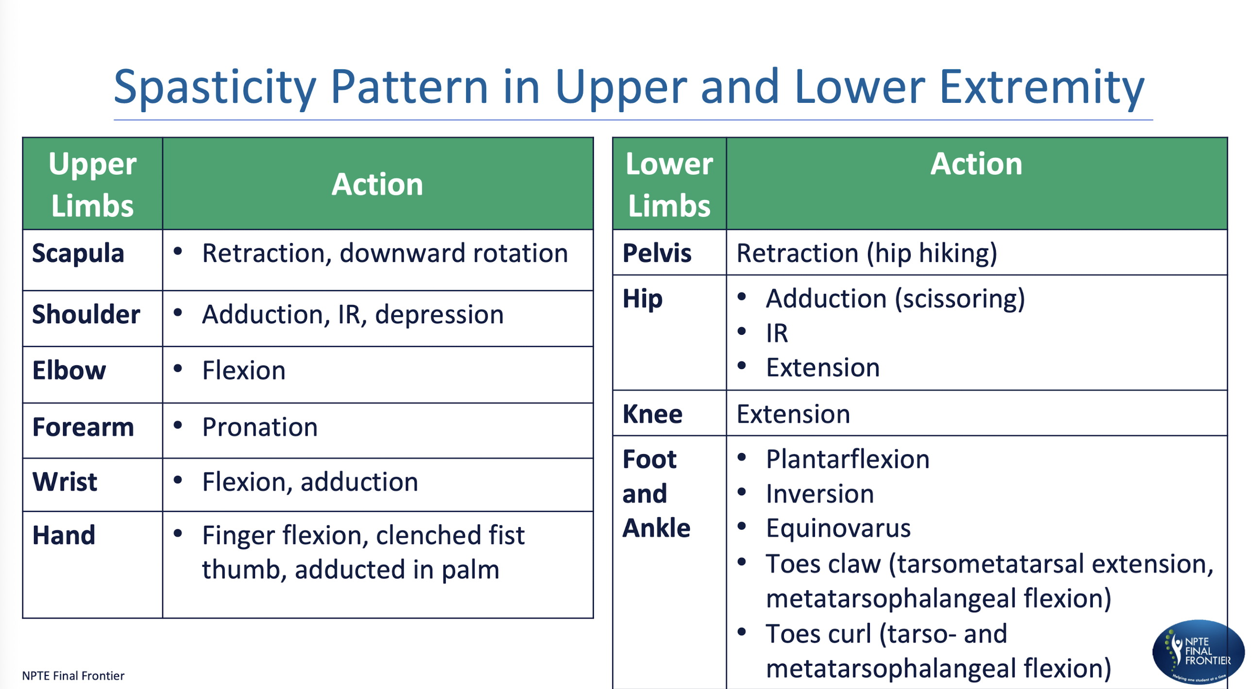 <p>Spasticity Pattern in UE and LE:</p><p></p><p>OCCURS AT REST&nbsp;</p>
