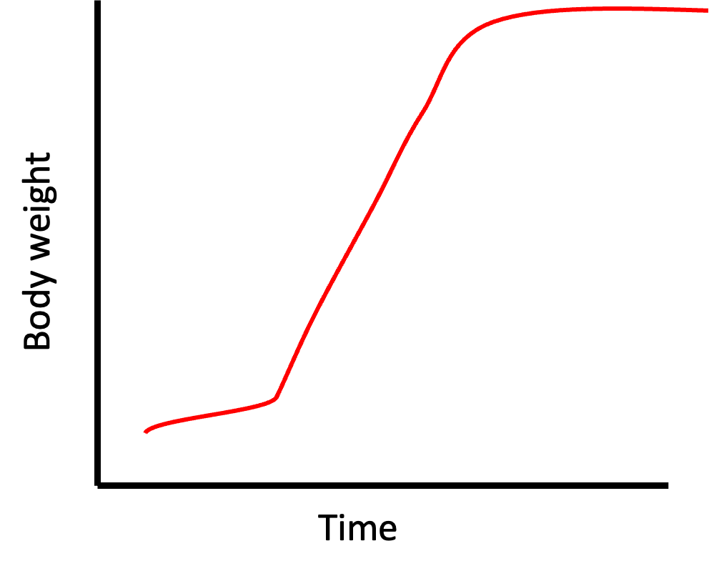 <p>consecutive measurements in dependent variable (total weight) plotted against change in independent variable (time)</p>