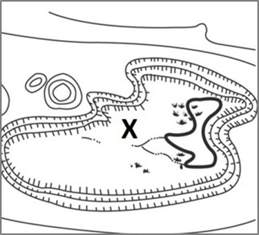 <p>Identify this terrain feature.</p>