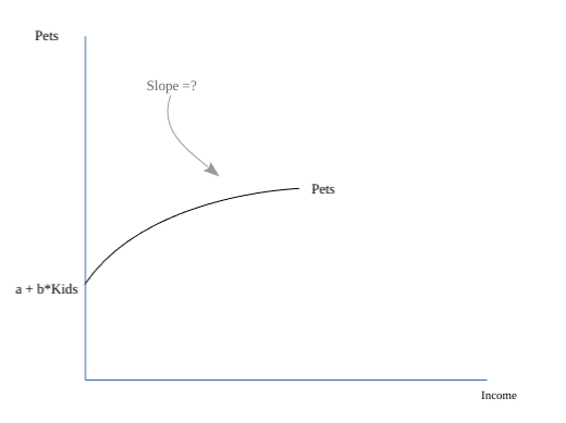 <p>Graphing Pet example</p>