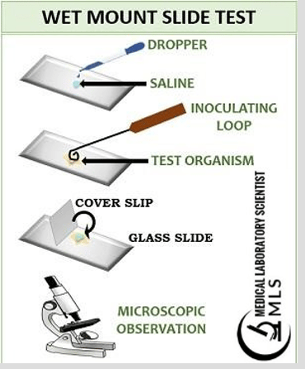 <p>-young broth culture is used </p><p>-a loopful of this culture is placed on a microscope slide under a cover slip and examined with the high dry objective lens</p><p>-you will observe individual cells moving if bacteria is motile</p>