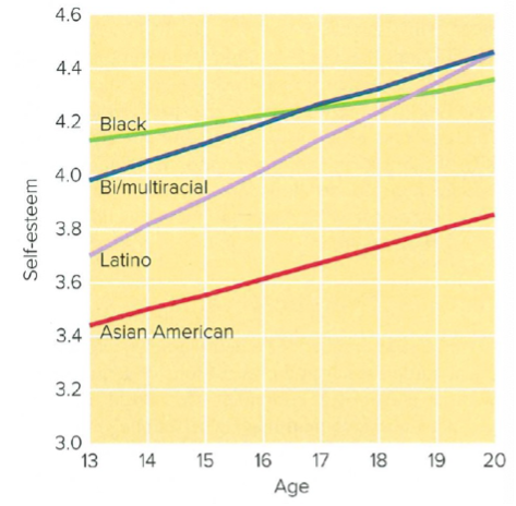 <ul><li><p>gender: girls more likely to decline</p></li><li><p>race: black youth have higher, Asian-Americans have lowest</p></li><li><p>approval of others (parents, peers, teachers)</p></li><li><p>societal standards (physical attractiveness specifically)</p></li><li><p>culture</p></li></ul><p>all intersect with each other</p>