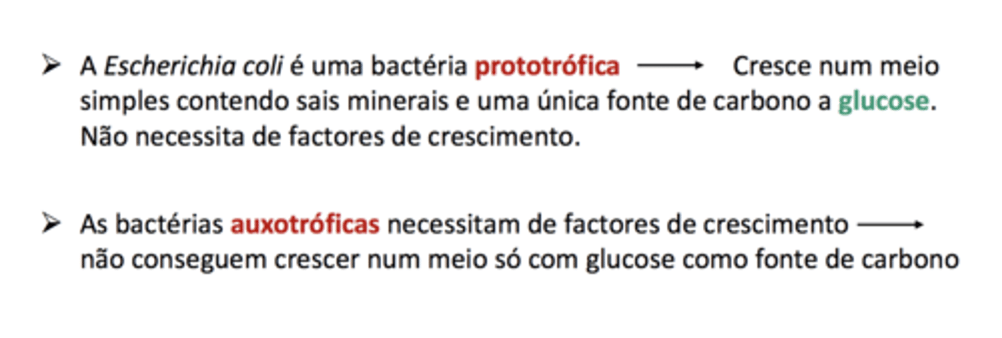 <p>• Aminoácidos</p><p>• Purinas e pirimidinas</p><p>• Vitaminas</p>