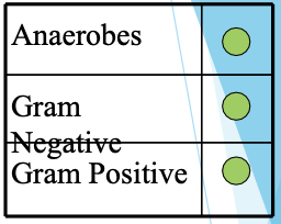 <ul><li><p>MOA: binds to 30s, bind 16s rRNA preventing tRNA, bacteriostatic, broad spectrum</p></li><li><p>tetra, mino, doxy</p></li><li><p>coverage: excellent- atypicals, animal borne organisms; good - GPs, enterococcus, MRSA, common Gns, anaerobes, H. pylori; poor- pseudomonas, C. diff</p></li><li><p>Adverse Rxn: photosensitivity, discoloration of teeth</p></li></ul><p></p>