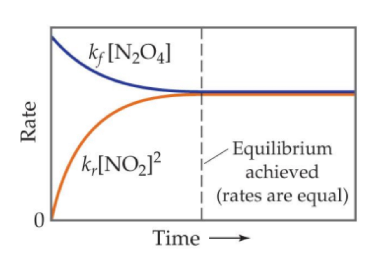 <p>When equilibrium is achieved the rates(of forming products and forming reactants is equal). </p>