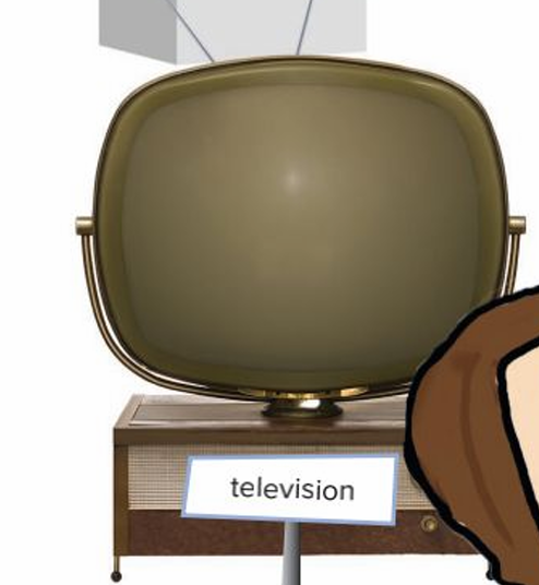 <p>television </p>