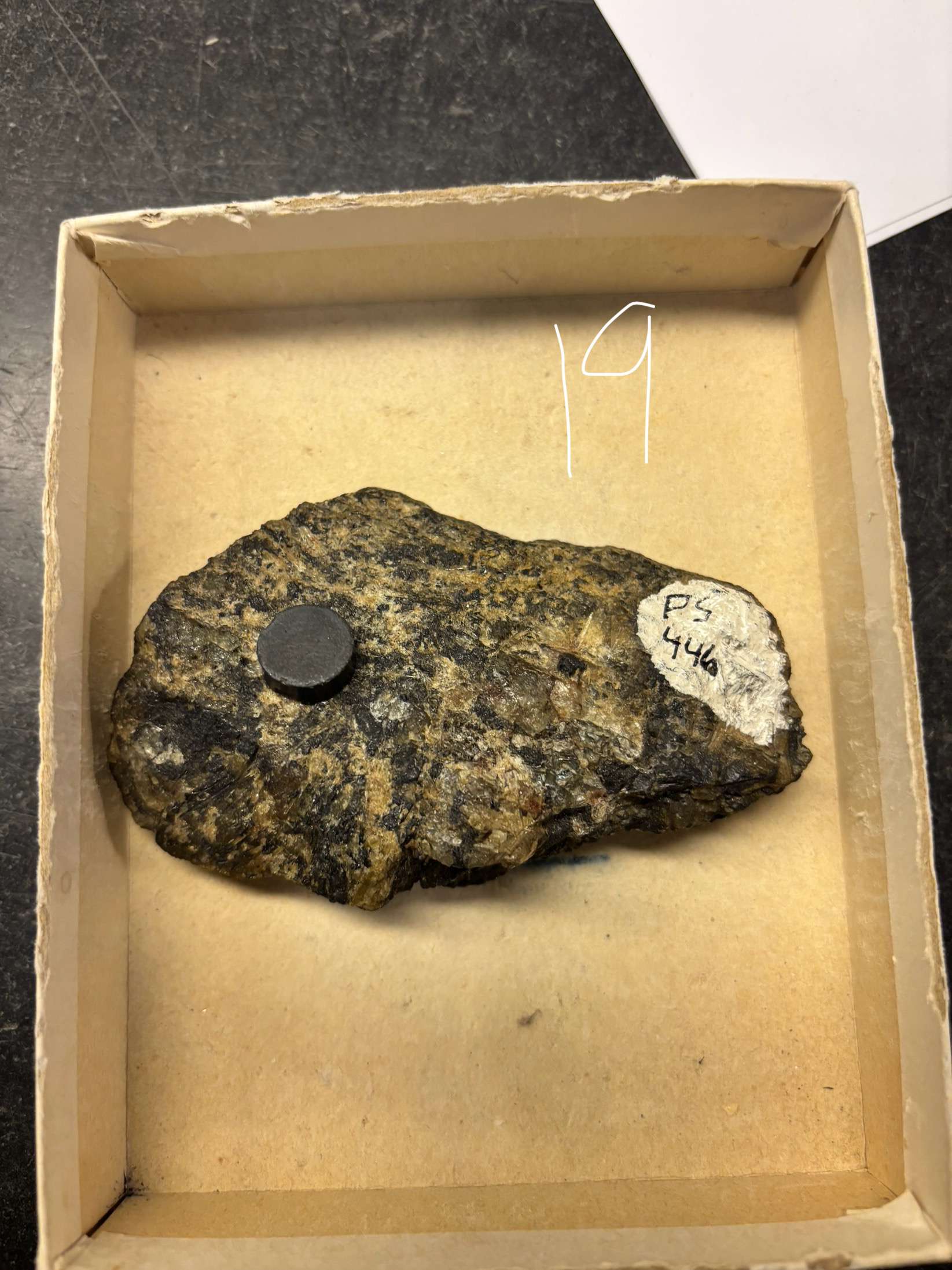 <p>Minerals Present ?</p><p>Overall texture ?</p><p>Rock Name ?</p>
