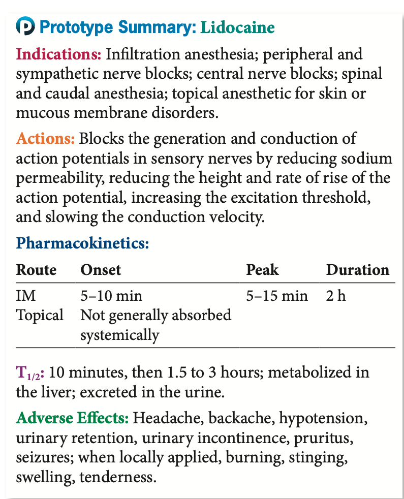 <p><strong>Local Anesthetic Agents</strong></p><p> Pharmacokinetics</p>