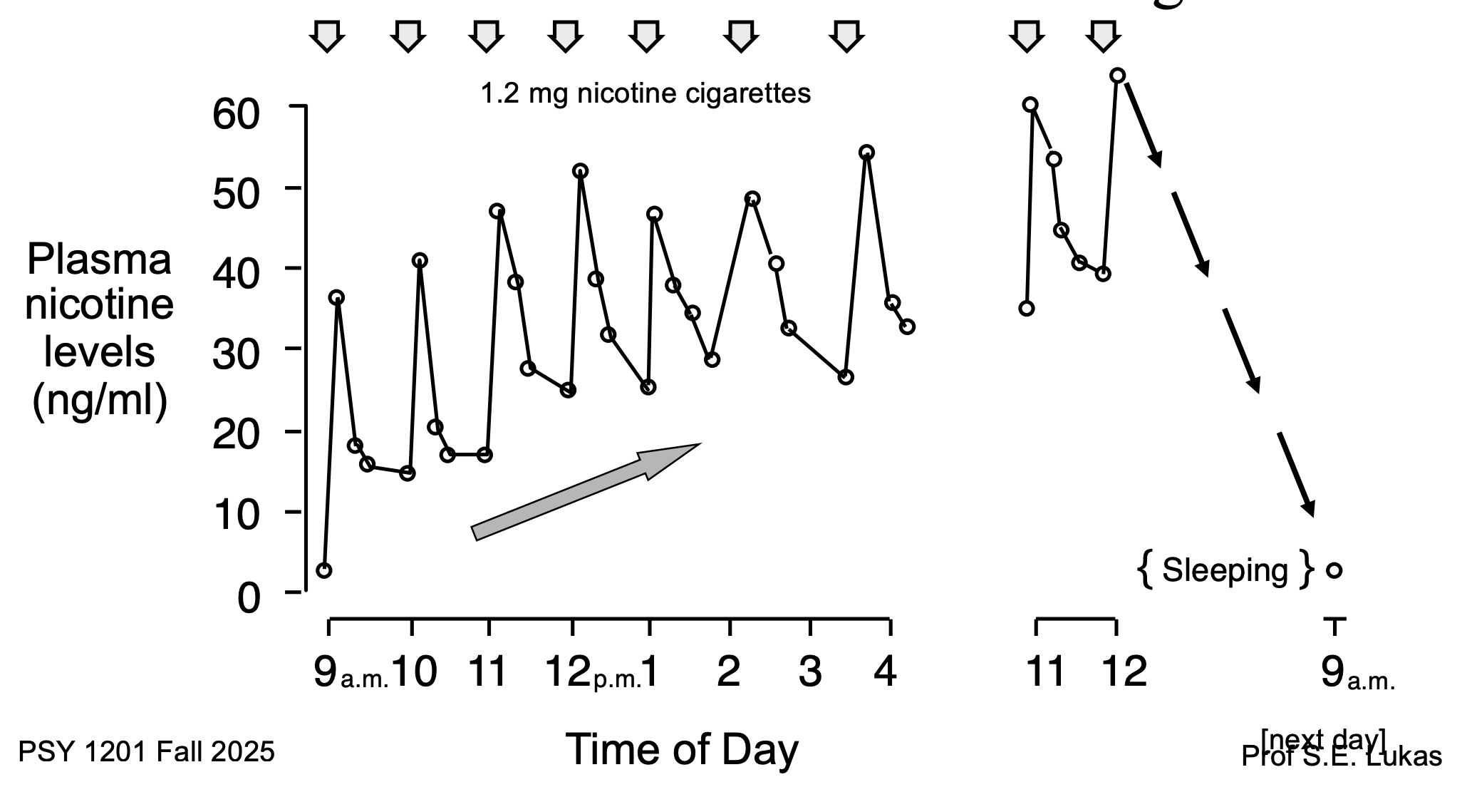 <p>Low Plasma concentration</p>