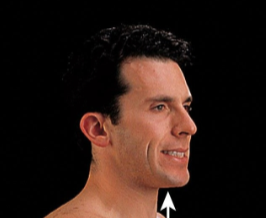 <p><span><span>Upward special movement </span></span></p>