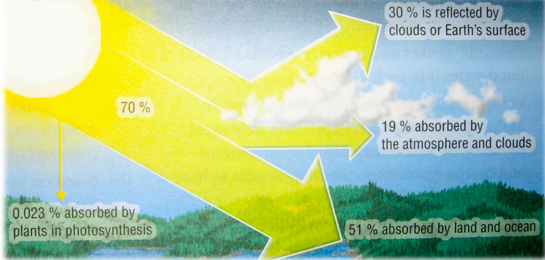 <ul><li><p>All living things require a <em><mark data-color="yellow">source of energy</mark></em> in order to survive. </p></li><li><p><strong><span style="color: blue">Radiant energy</span></strong> from the sun sustains life on Earth. </p></li><li><p><strong><span style="color: red">not</span></strong> all of the Sun’s energy reaches the Earth.</p></li></ul>