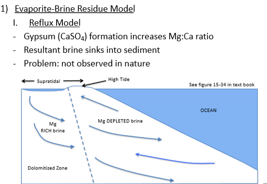 <p>Sea water close to shore evaporates causing the ppt of gypsum (CaSO4). Removal of Ca from water concentrates Mg. Brine then sinks into the sediment, creating dolomite as it moves down into the limestone.</p>