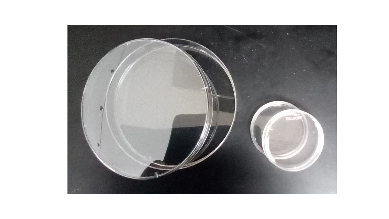 <p>petri dish </p>