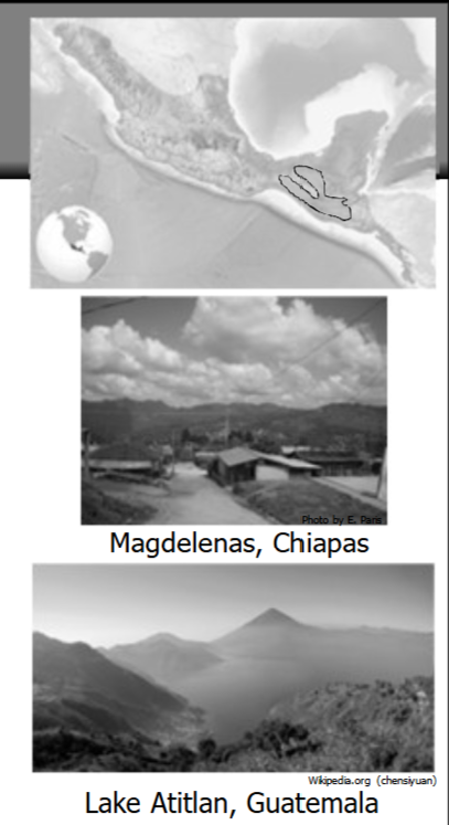 <p> Highland Chiapas and Highland Guatemala</p><p> Central Plateau of Chiapas + the Cuchumatanes Mountains + Sierra Madre Occidental</p><p> Volcanoes, highland plateaus</p><p> Intermontaine plateaus and basins are smalll compared to Central Mexico</p><p></p><p> Highland climate, pine-oak forest</p><ul><li><p> Cloud forest at high elevations</p></li></ul><ul><li><p>Less arid than Central Mexico</p></li></ul><ul><li><p> Rainy season-dry season</p></li></ul><p> Terrace farming</p><ul><li><p> Maguey</p></li></ul><p> Highland fauna + Tropical fauna at mid- range elevations</p><ul><li><p>Tapir</p></li></ul><ul><li><p> Jaguar</p></li></ul><ul><li><p> Quetzal </p></li></ul><p></p>