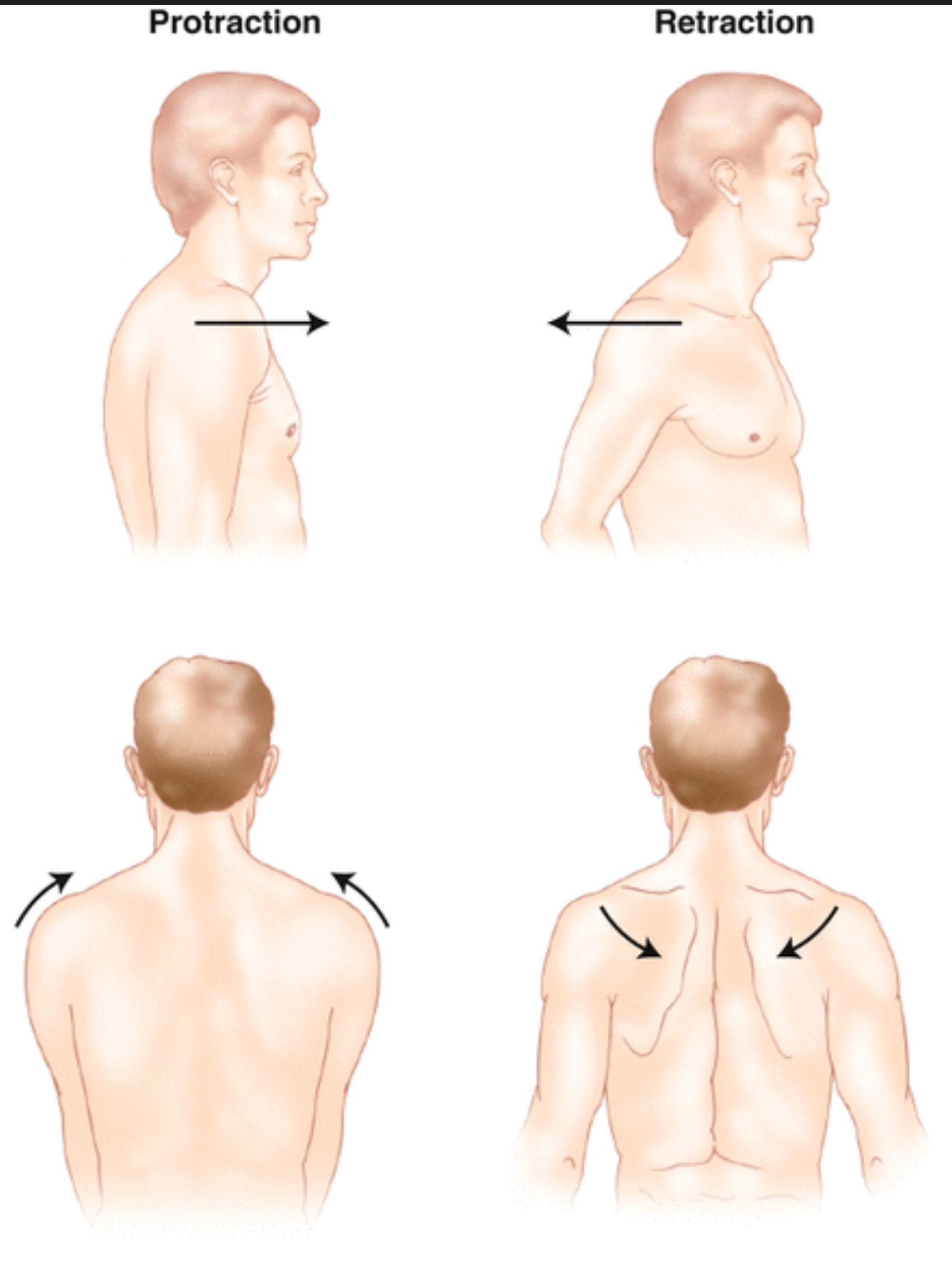 <p>Push head (chin) forward</p>