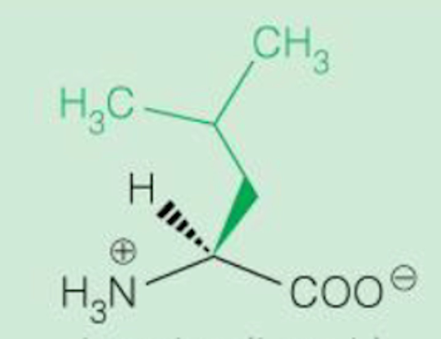 <p>Non-polar aliphatic</p>